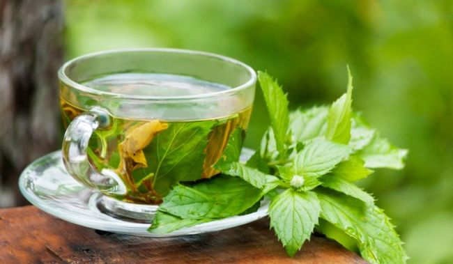 7 Kebaikan Green Tea Yang Perlu Kita Tahu